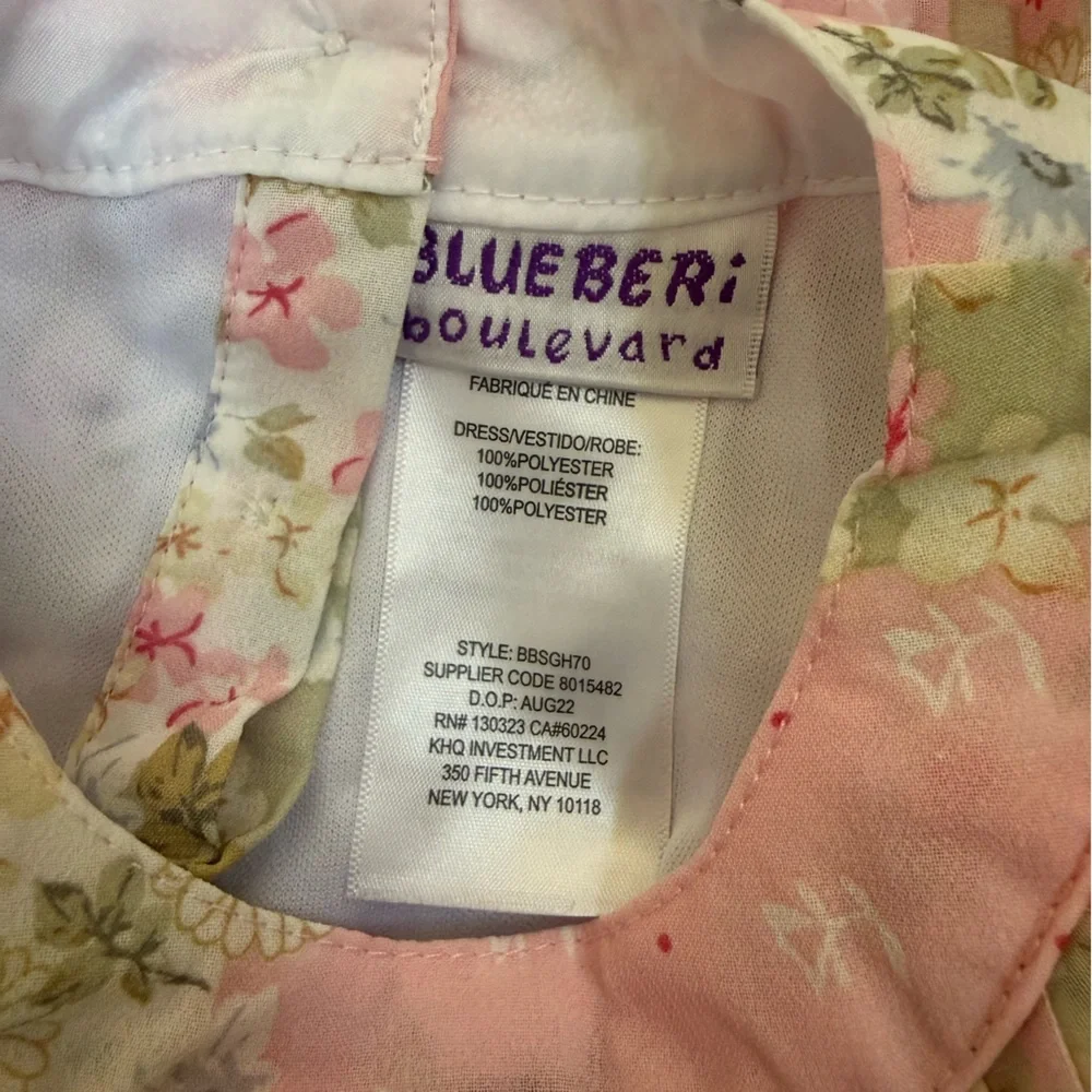 Blueberi Boulevard Pink and Green Floral Dress